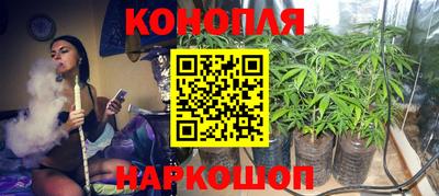 ПСИЛОЦИБИНОВЫЕ ГРИБЫ Камышлов