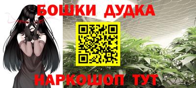 прущие грибы Канаш