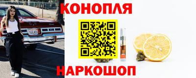 прущие грибы Канаш