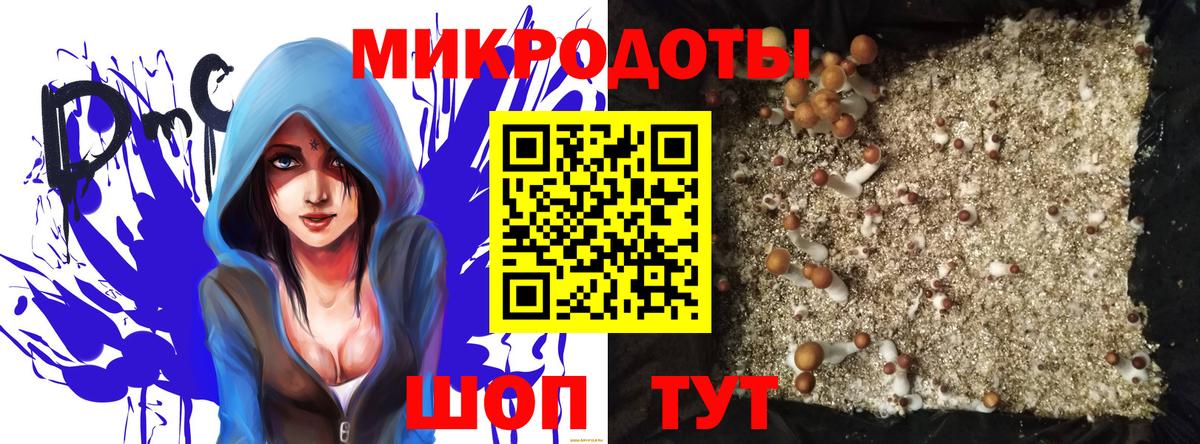 Псилоцибиновые грибы мицелий  Вход с VPN  Майкоп 
